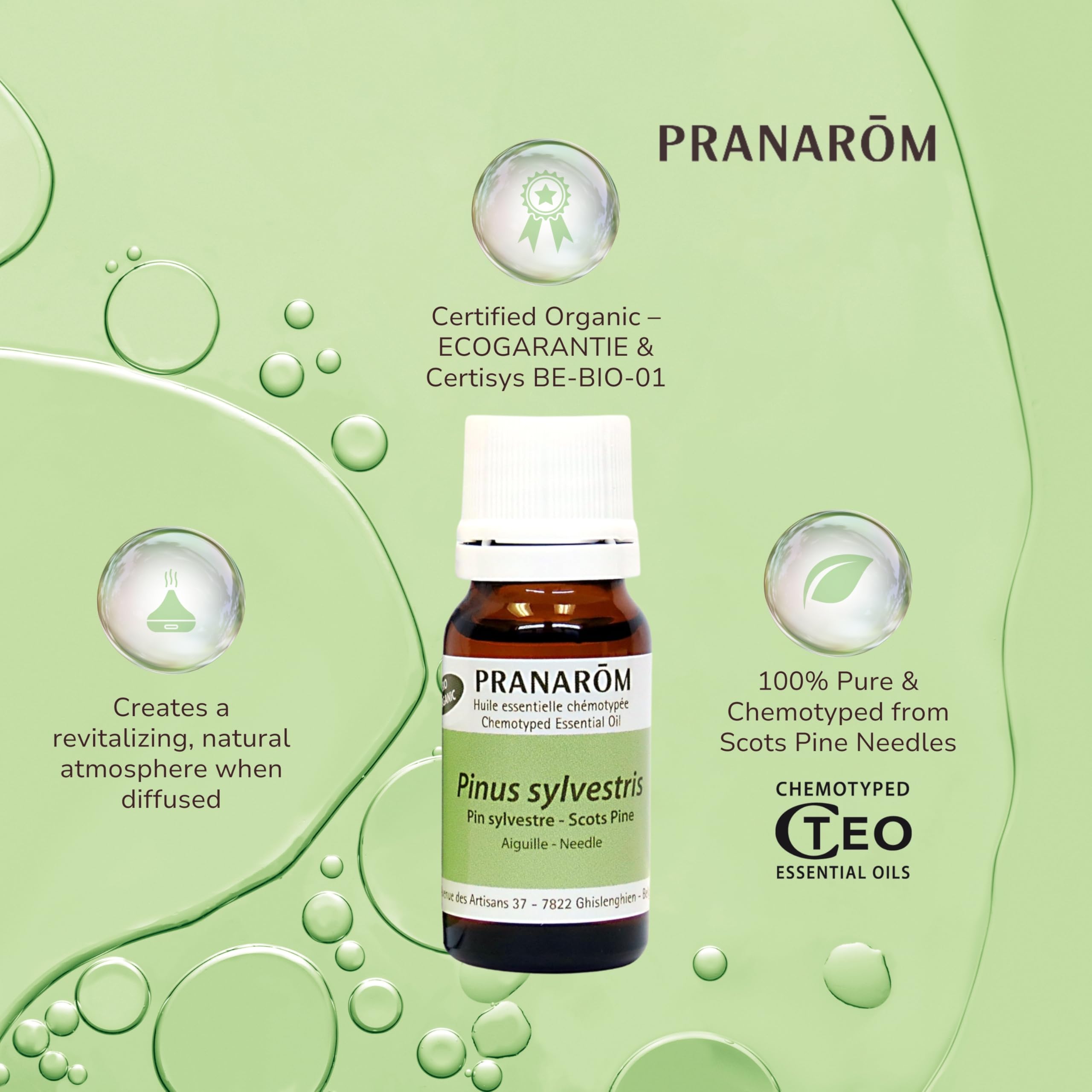 Pranarom Scots Pine Essential Oil, 100% Organic Pinus Sylvestris