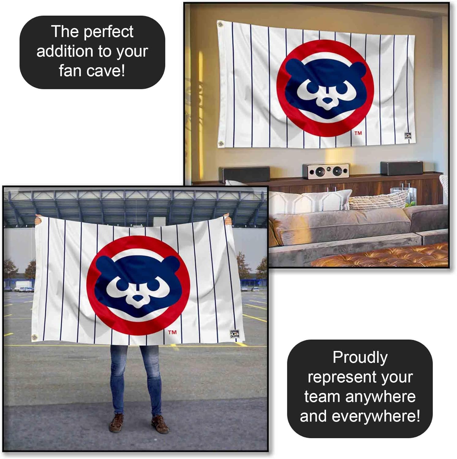 Chicago Baseball Vintage and Banner - Image 5