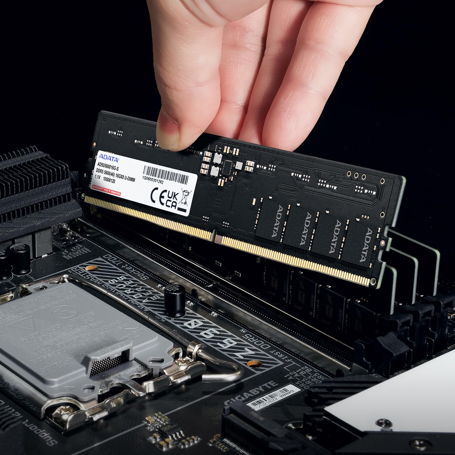 ADATA DDR5 16GB 5600-46 Premier Tray Single Tray : Amazon.ca