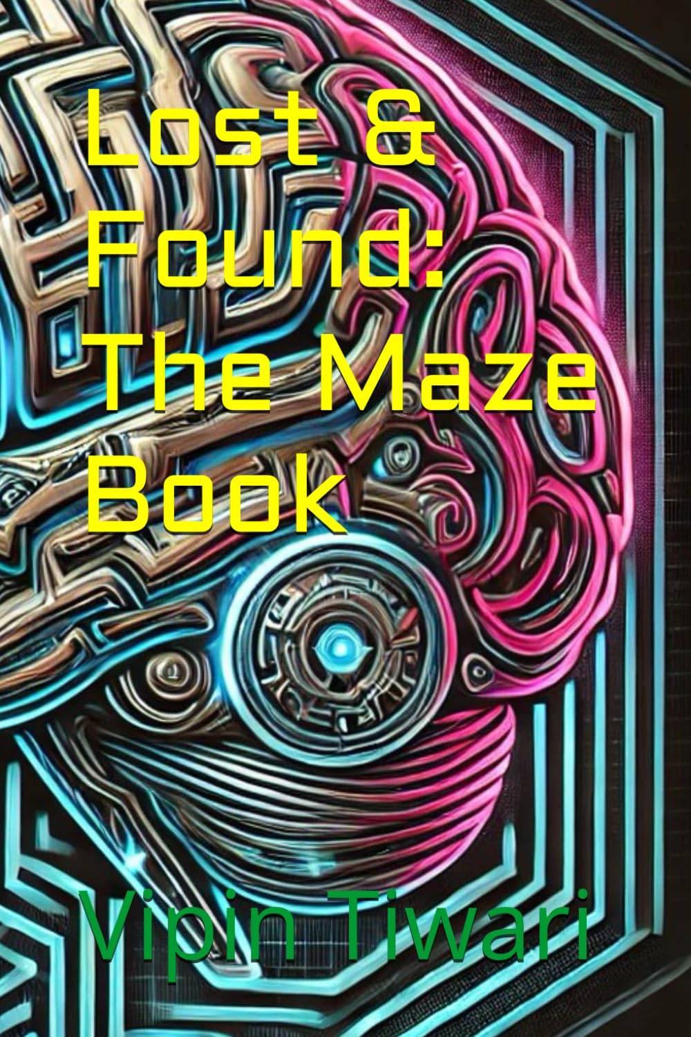 Lost & Found: The Maze Book