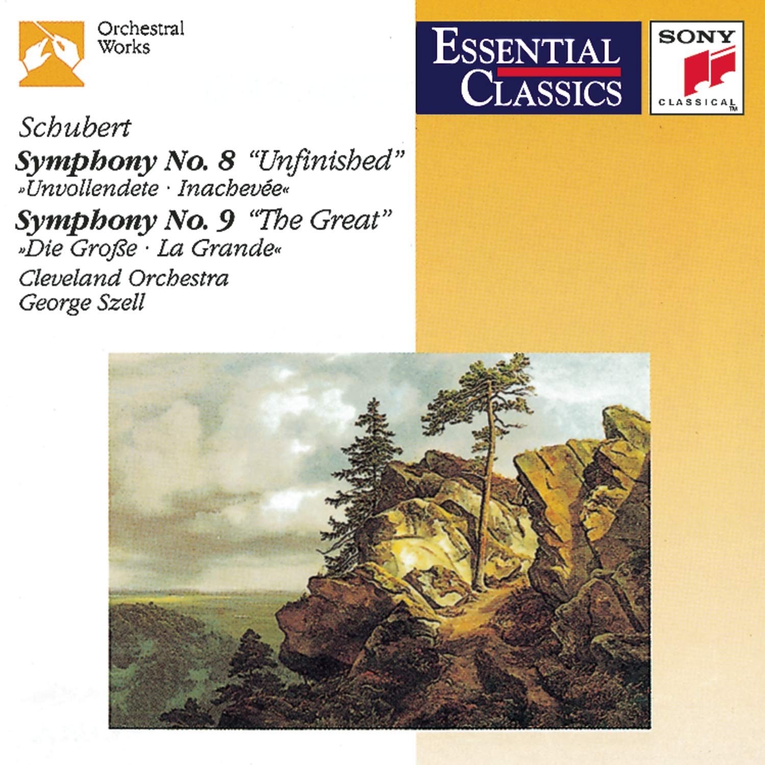 Schubert: Symphonies 8 & 9; Sz [Audio CD] SCHUMANN,ROBERT