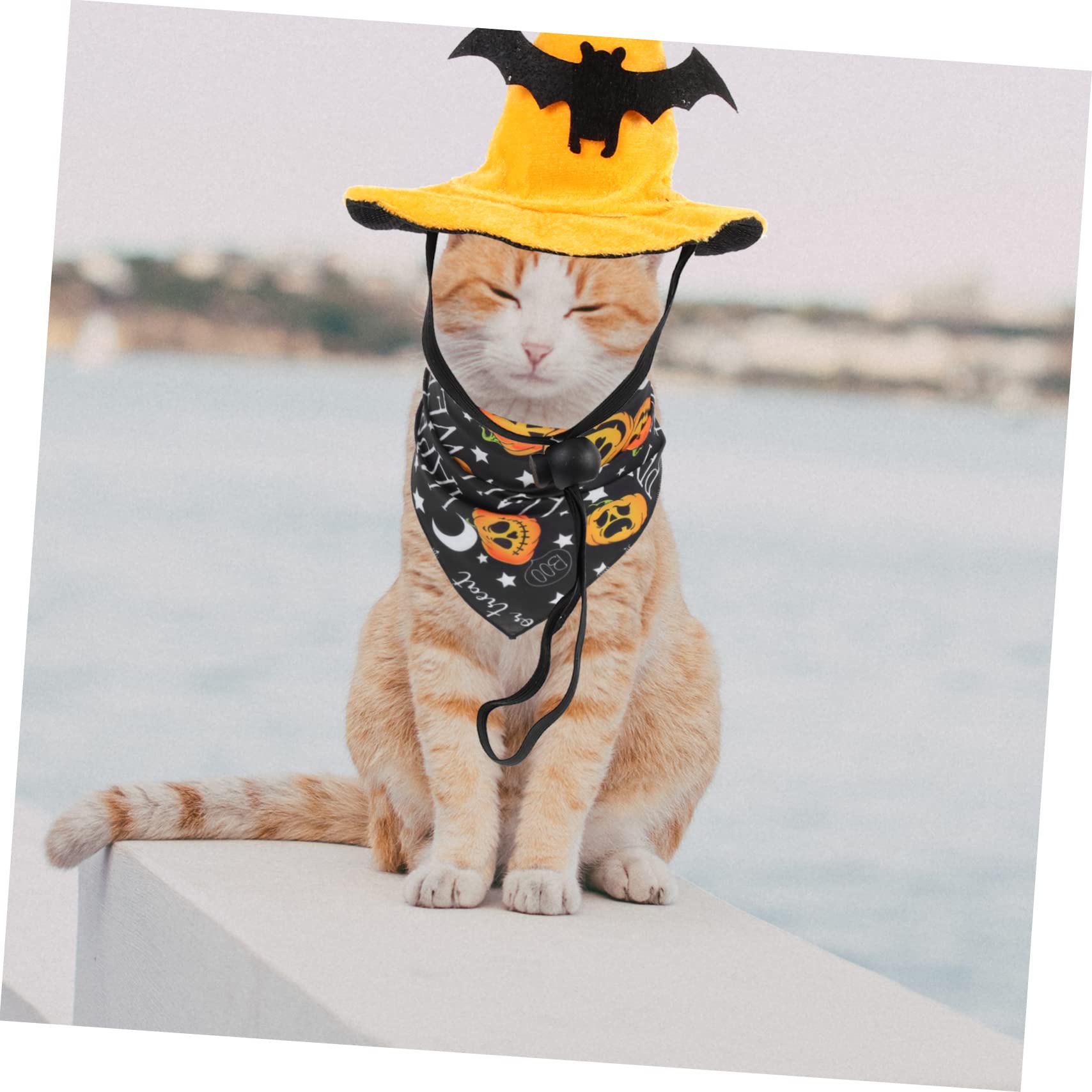 INOOMP 5 Set cappello di halloween dog costume cat hat berretto da strega di Halloween costumi di per cani bandana decorativa di zucca e di per animali domestici