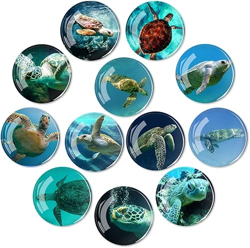 Imanes para refrigerador de tortuga marina, imán de cristal para refrigerador, regalos para baby shower, decoraciones temáticas de borrado en seco,