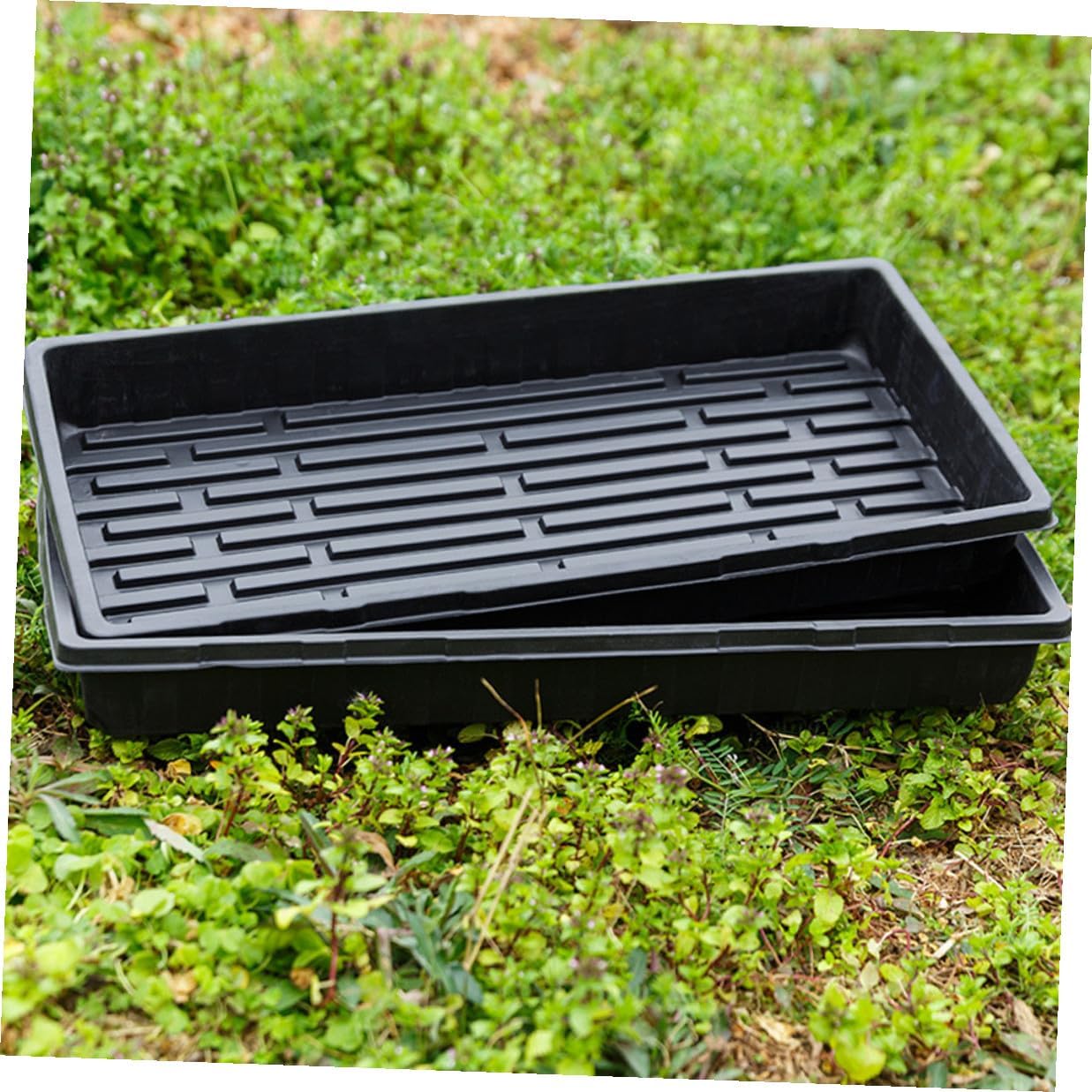 Kisangel 3pcs Plant Starter Tray Germination Holder Thick 1.8mm Black Nursery Seedlings Container for Greenhouse Gardening and Seed Sprouting