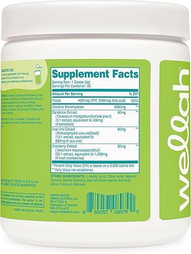 Miniatura 13 de Wellah Creatina para mujer - Monohidrato de creatina con diente de león y extracto de arándano (50 porciones, sandía granizado)