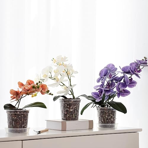 Miniatura 7 de TRUEDAYS Maceta para orquídeas con platillos  Paquete de 6 macetas transparentes de 5 pulgadas con agujeros de drenaje para replantar  Ideal para un