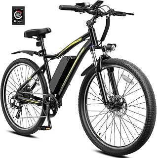 Heybike Electric Bike for Adults