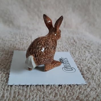 Little Critterz Cottontail Rabbit Decorative Porcelain Display Object Freeze Handcrafted High-Fired Adult Home Decor Accent