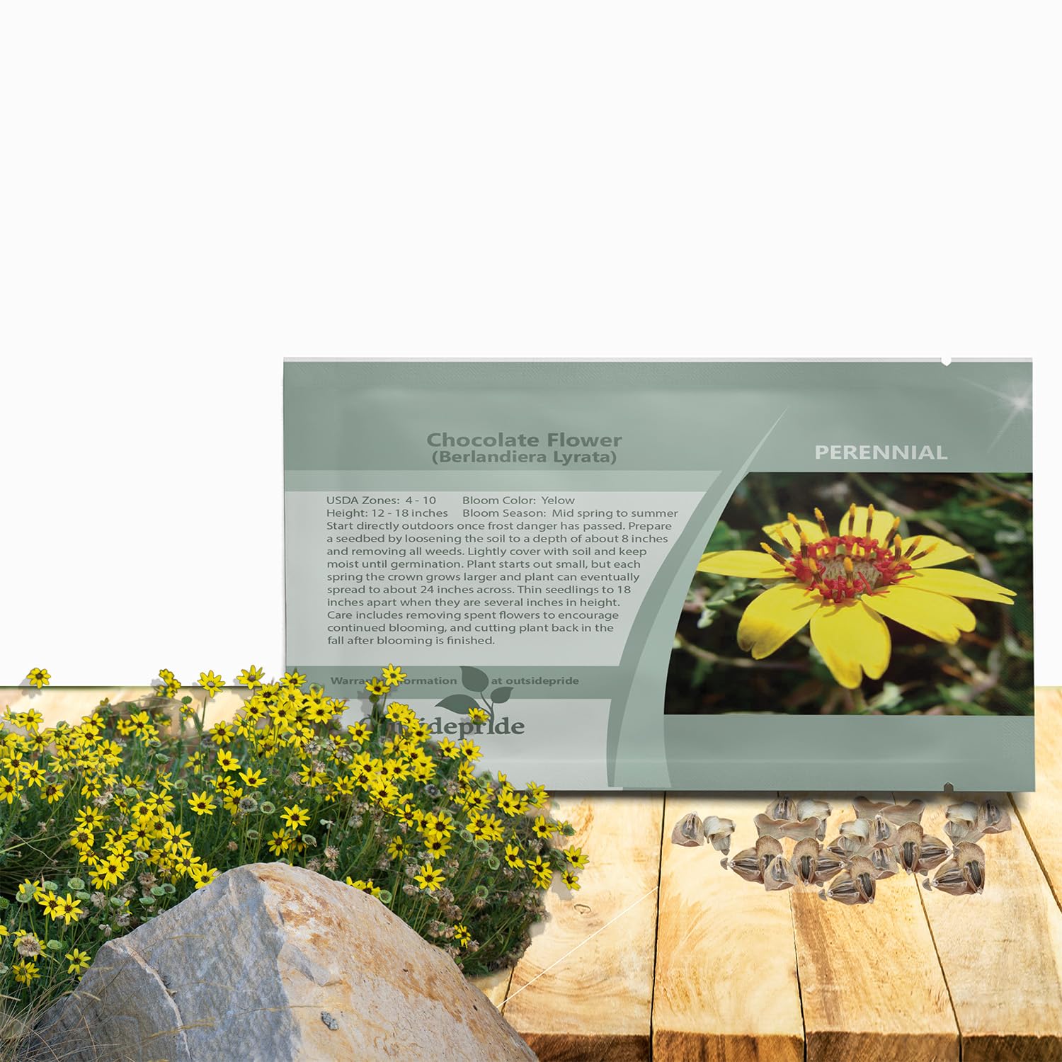 【PAC PLANTS】速達 Common Plantain – Broadleaf Herb Seeds – SurvivalGardenSeeds