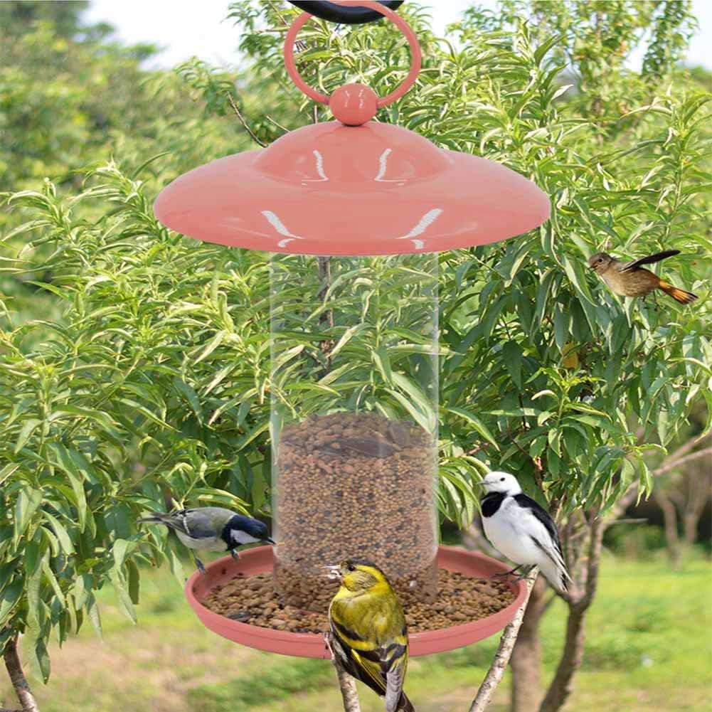 mais per mangiatoie per scoiattoli per esterni