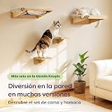 Ver la foto 4