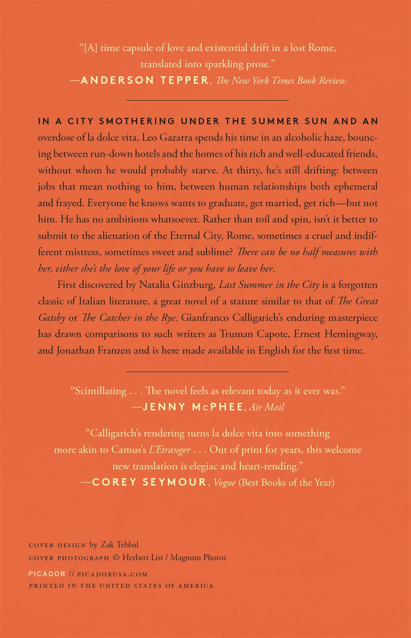 Last Summer in the City: A Novel