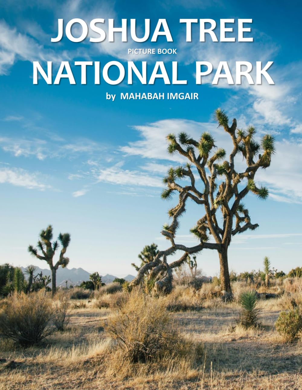 Joshua Tree National Park: A Stunning Coffee Table Photo Book for Travel and Tourism Enthusiasts
