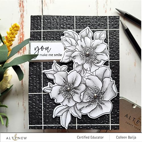 Miniatura 8 de Altenew Lápices de sombreado monocromáticos, 5 lápices de grafito sin madera para dibujar, dibujar, sombrear, lápices de arte 2H, HB, 4B, 6B, 10B