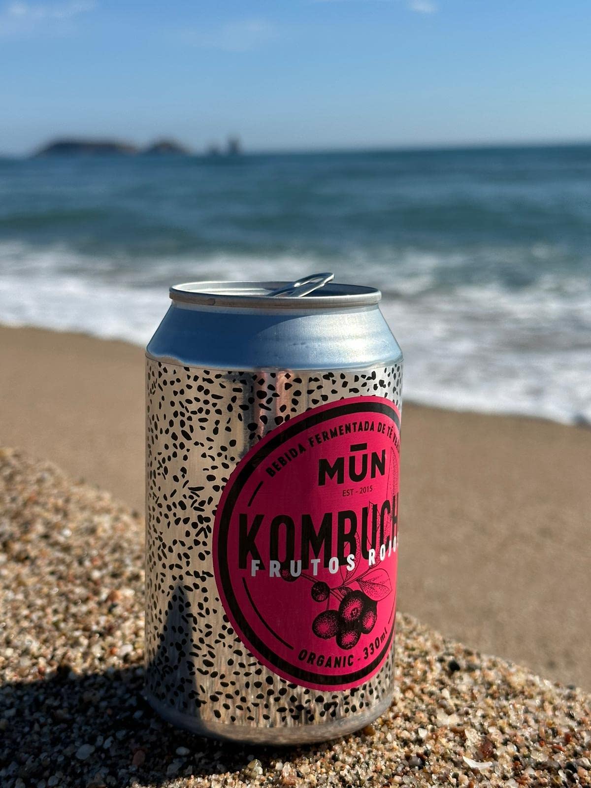 Mūn Ferments Té Kombucha Pack 12x330ml - Bebida Ecológica Con Probióticos - Té Kombucha Jengibre Y Limón-Sin Azúcar Y Baja En Calorías-Latas Libres De BPA-Infusión Fermentada Artesanal-Libre De Gluten