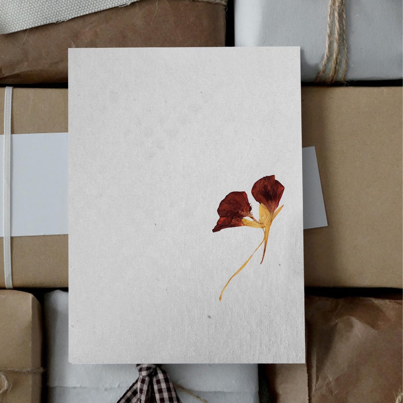 VICASKY Blotting Paper for Flower Press Blotter Pressing Drying Plates Book Machine Dry Board Dried Flowers Large A4 Sheets Highly Absorbent and Reusable Herbarium Thick Embossed Paper Decoupage Glue