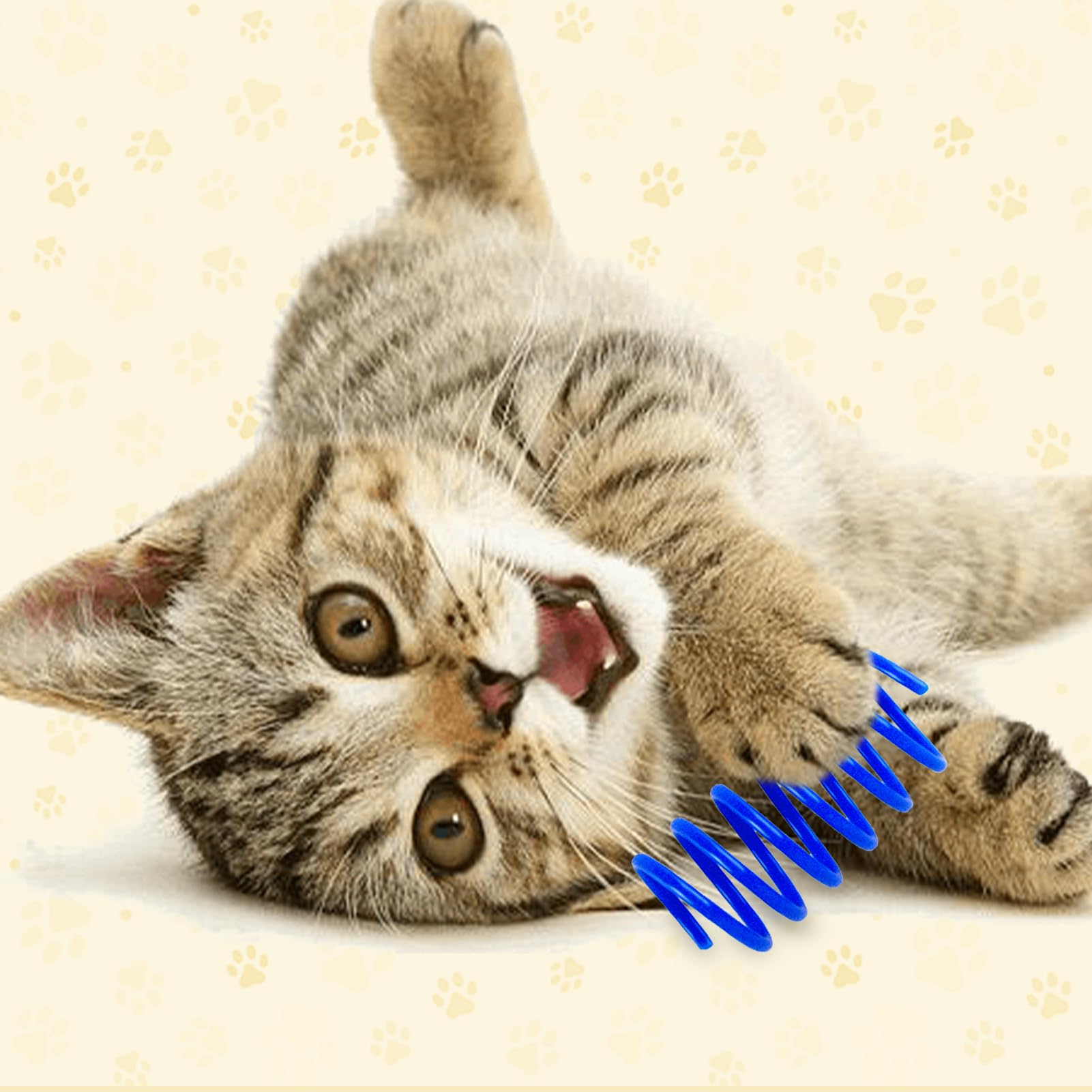 Lot de 24/32 Ressorts à Chat Jouets Interactifs, Jouet à Ressort pour Chat avec 4 Couleurs, Jouet pour Chats Actifs pour Propriétaires de Chats (24)