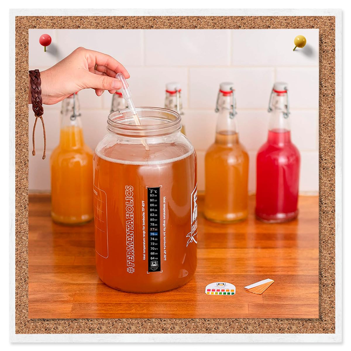 Snapklik.com : 3 Pack Kombucha Fermentation Adhesive Strip Thermometer ...