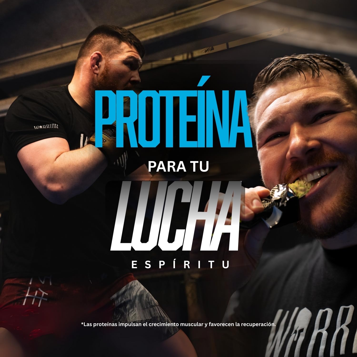 Barritas ricas en proteínas Warrior Crunch 20 g - Barritas bajas en azúcar/carbohidratos - Pack de 12 x 64 g (Masa de galletas con pepitas de chocolate)