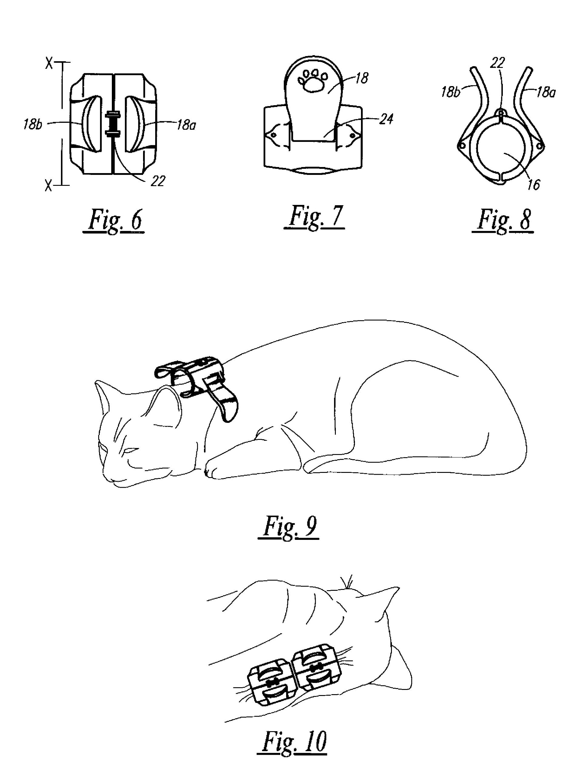 Amazon | KVP クリップノシス 子猫クリップ 1 小 | KVP | 首輪
