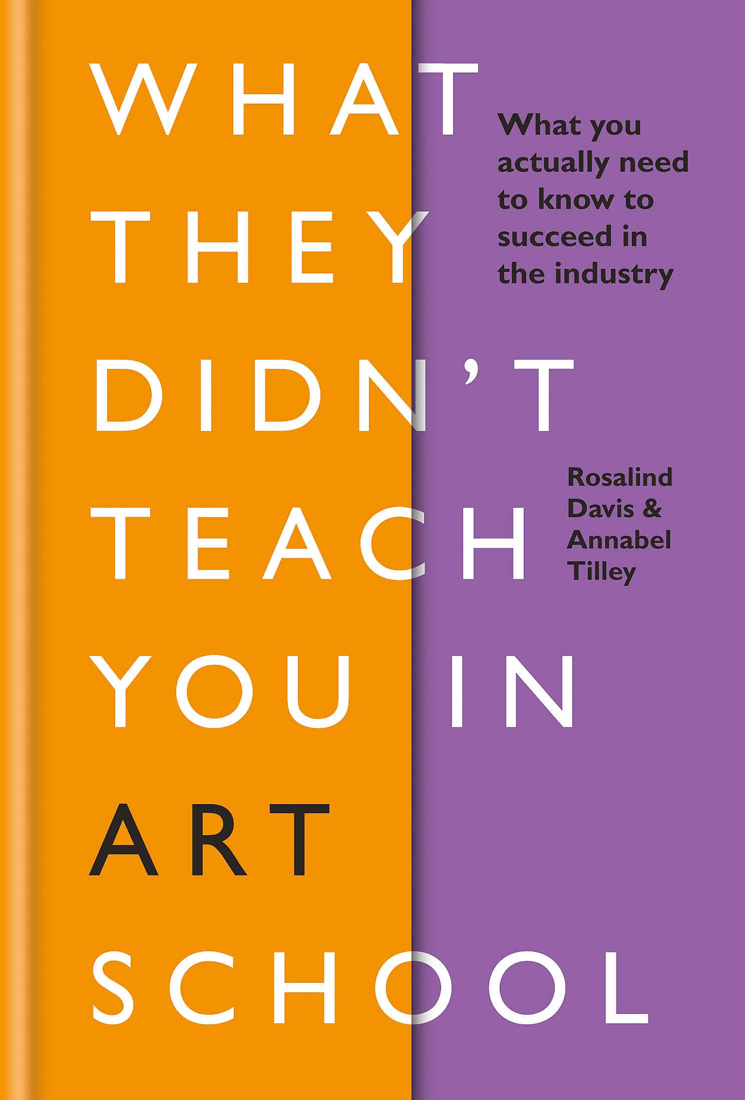 What They Didn't Teach You in Art School: What you need to know to survive as an artist (What They Didn't Teach You In School)