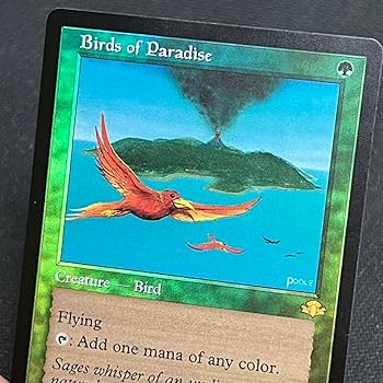 Amazon.co.jp: MTG 極楽鳥Birds of Paradis 英語版 旧枠 foil