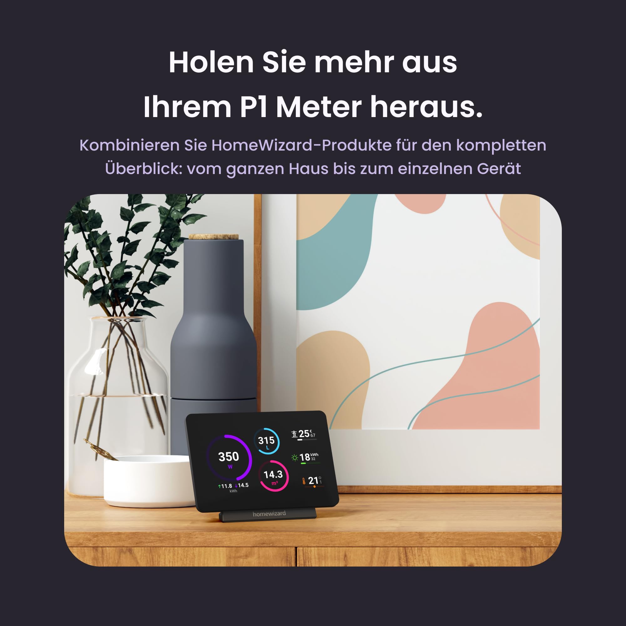 HomeWizard P1 Meter, WLAN Smart Meter für Strom und Gas | Echtzeitmessung per App, Energiekontrolle, nicht für Deutschland