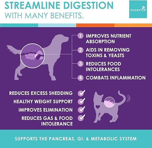 Miniatura 7 de NUSENTIA The Miracle Pack - Probióticos naturales + enzimas digestivas - Prebióticos - para diarrea, gases, heces sueltas, malestar digestivo y