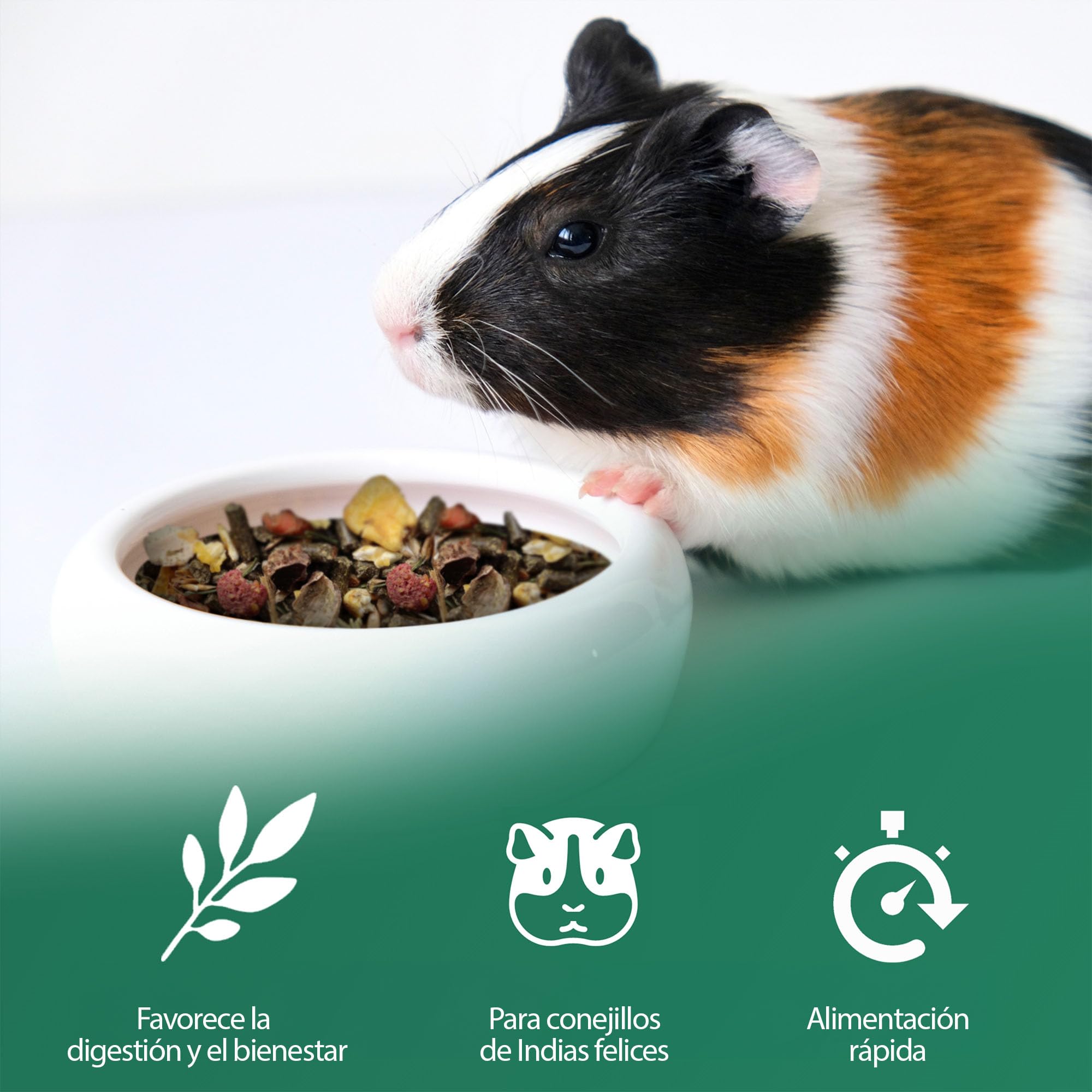 Eggersmann Alimento Premium para cobayas - Muesli Natural con Hierbas, Verduras y Frutas (Bolsa de 15 kg)