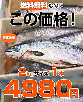 新巻鮭 Suzuly&#39;s 新巻鮭 須藤水産オンラインショップ