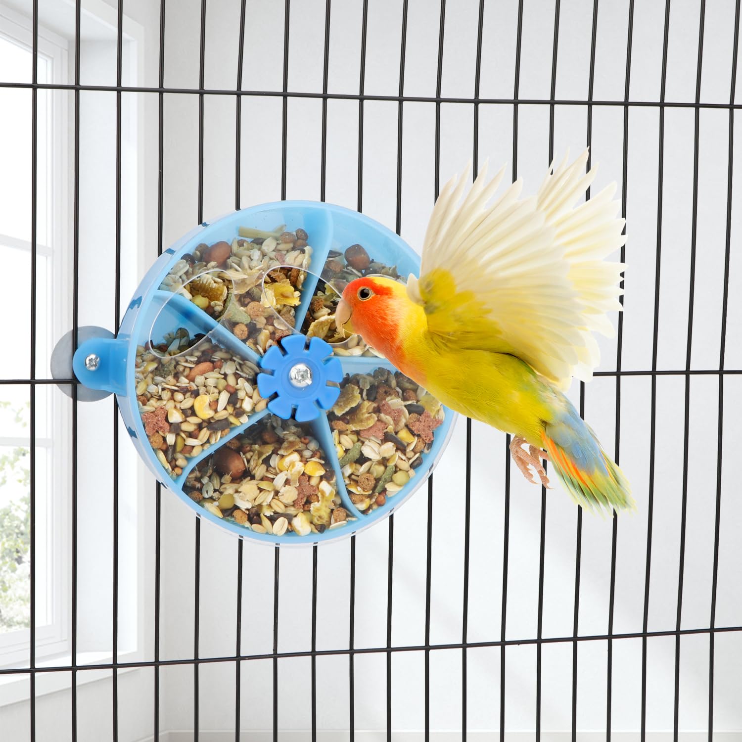 Hypeety Parrot Foraging Feeder Wheel Gnawed Toy Food Box Bird Food Basket Creative Foraging System for Parrot Conure Cockatoo Training Feeder Toy - image 6