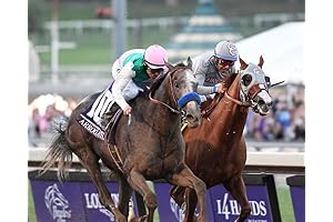 California Chrome and Arrogate 2016 Breeders' Cup Classic Horse Racing 8X10 Photo