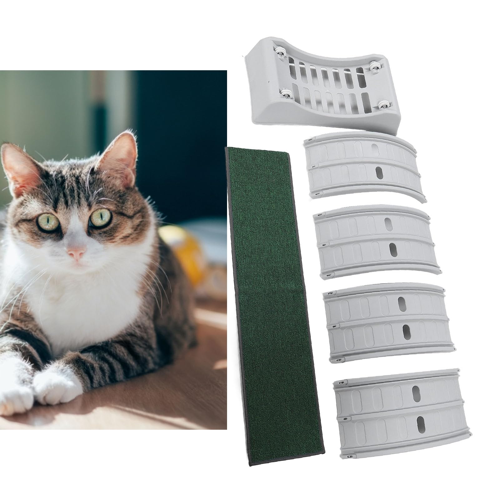 HEEPDD Juguetes para Ratones y Animales para Gatos de Interior con Cerradura de Seguridad Cinta de Correr Grande para Gatos Rueda de Actividad con Base de 31,5 Pulgadas para Ejercicio Físico de