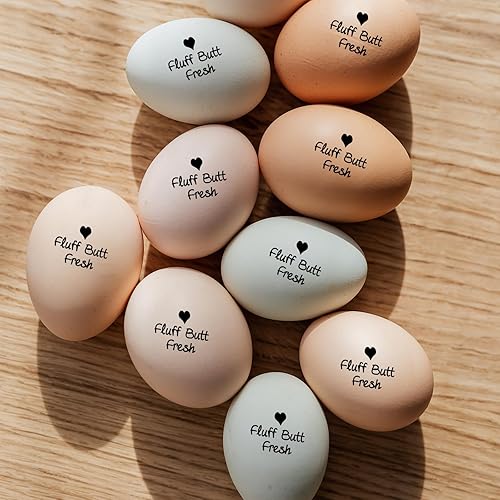 Miniatura 6 de Sello de huevo para huevos de gallina, sellos de huevos de gallina para huevos frescos, sello de huevo personalizado con tinta, suministros de
