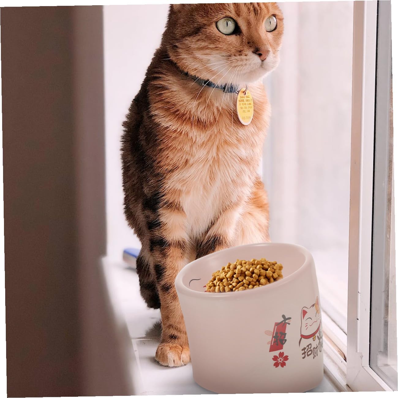 Ceramic Elevated Cat Bowl with Neck Protection, Anti-tip Pink Kitten Feeding Dish for Cats and Puppies, Pet Water Drinking Holder, Small Size for Daily Use