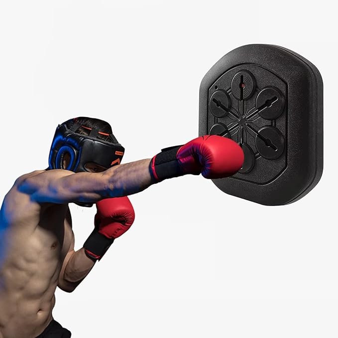 ENPAP Eletronic Boxing Wall Target,boxing Reaction Target Boxing