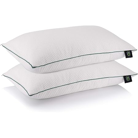 king pillow 2 pack
