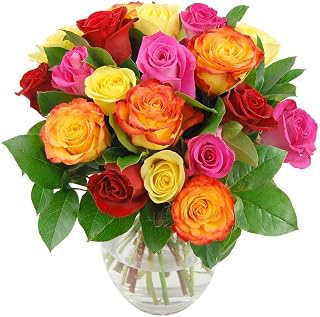 Clare Florist Colourful Rainbow Roses Fresh Flower Bouquet with FREE NEXT DAY UK DELIVERY - Fresh Flowers Perfect for Any Occasion