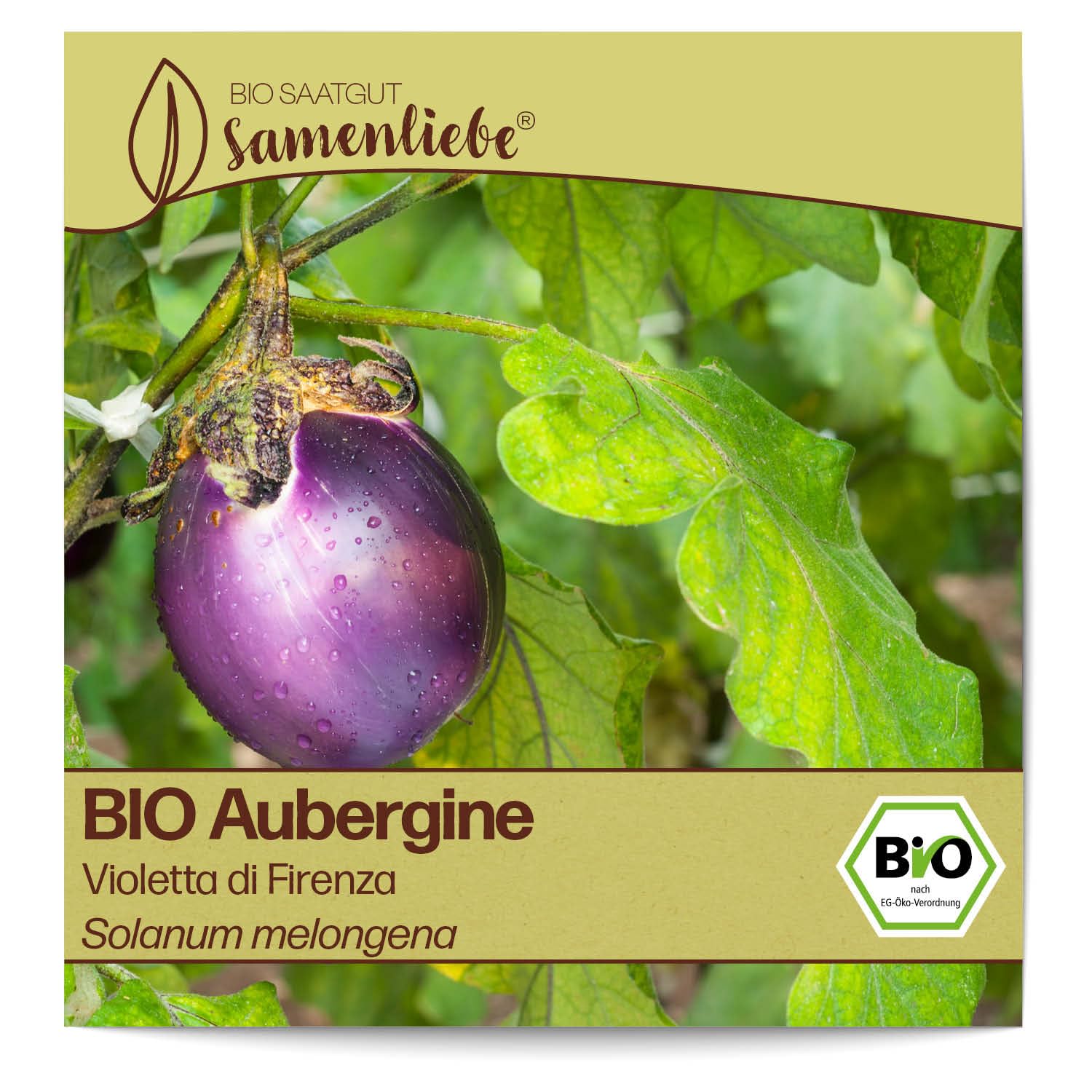 Samenliebe BIO Auberginen Samen 'Black Beauty' – 10 Samenfeste Samen, Alte Sorte Für Garten & Balkon