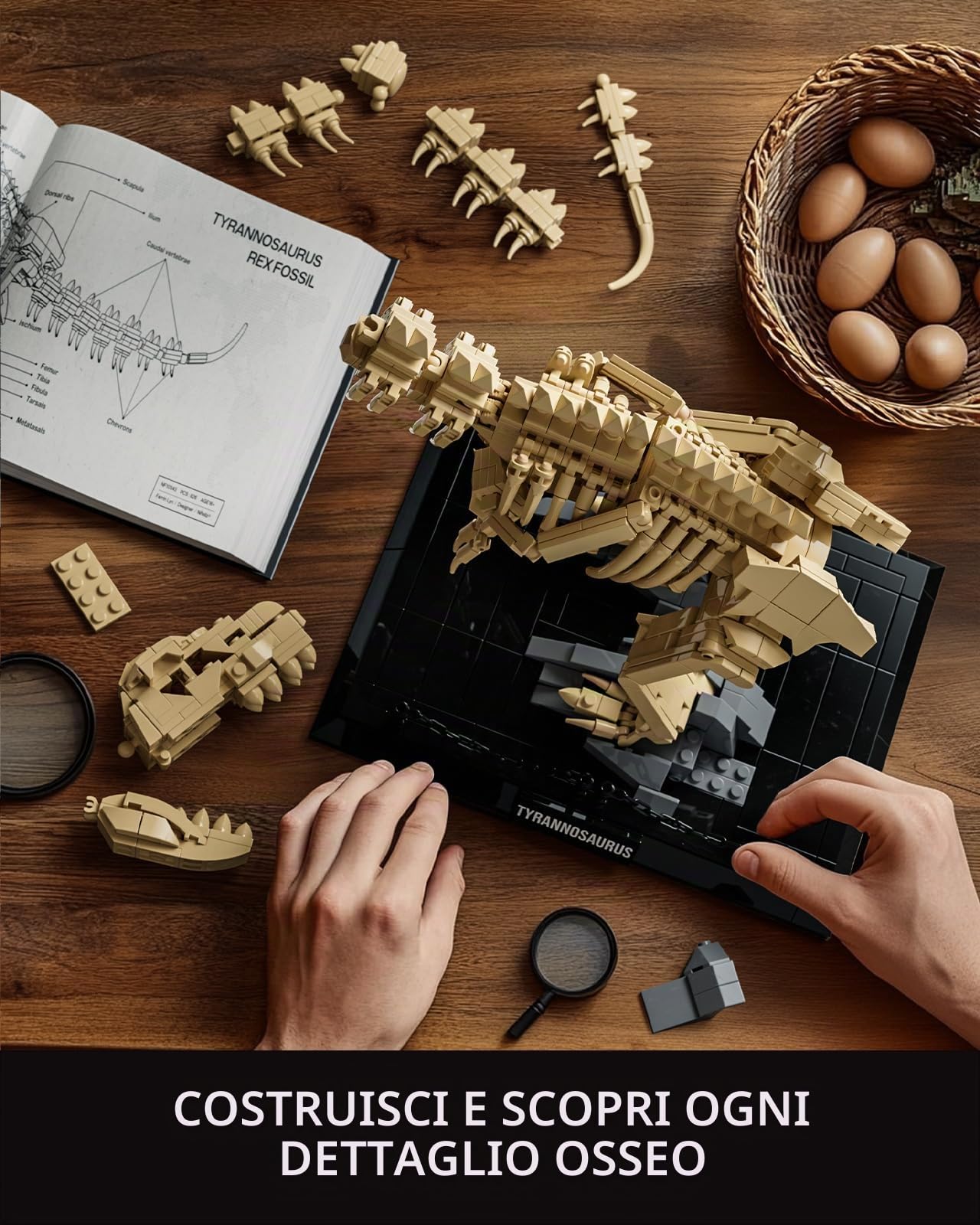 Nifeliz Tyrannosaurus T.Rex Dinosauri fossili a morsetto, scheletro dinosauro decorazione animale, kit di articoli e decorazioni per casa e ufficio (826 pezzi, NF10343)