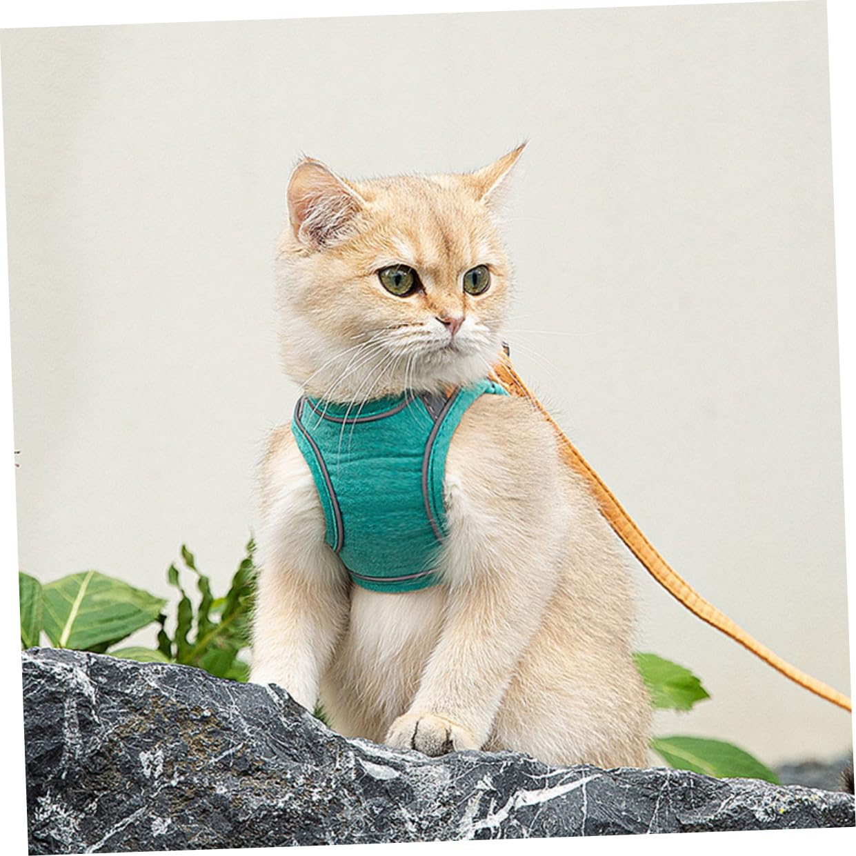 DOITOOL 3juegos Arnés Ajustable para Gatos Correa Reflectante Diseño Antiescape y Confortable para Paseos Nocturnos Talla Mediana