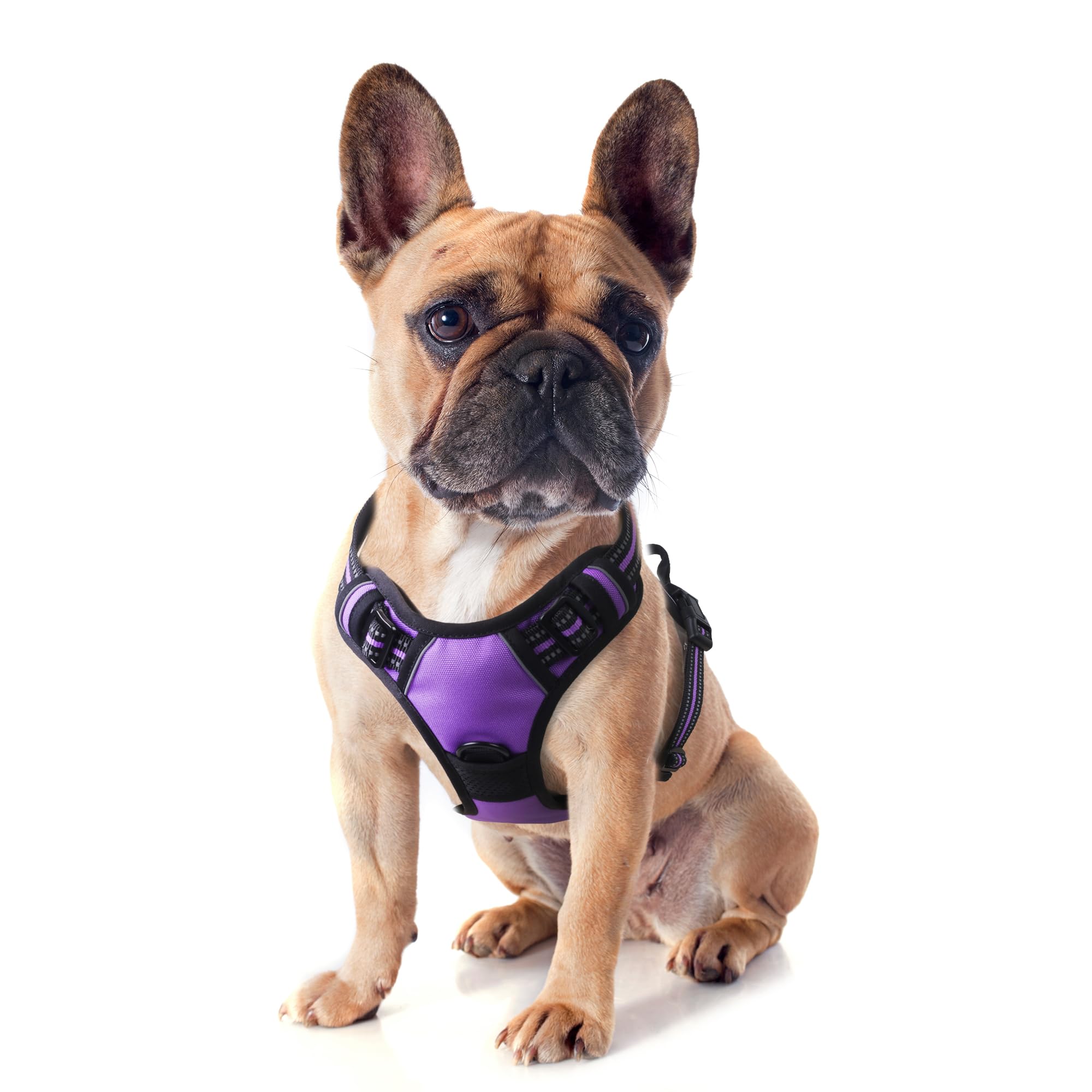 Funfox Dog Harness Small Dog, 2 Clips No Pull Vest Harness Handle Control