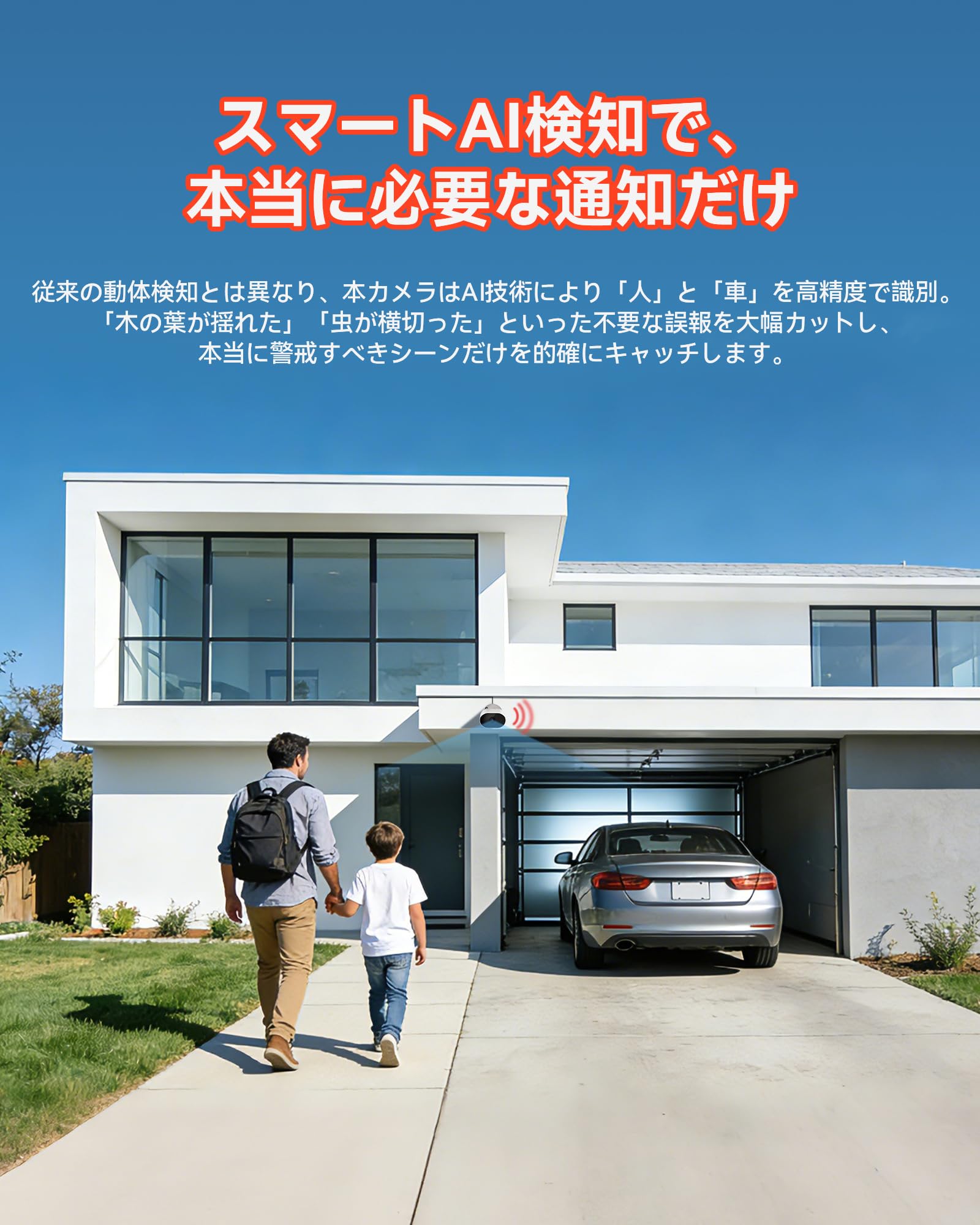 Amazon.co.jp: Anlapus