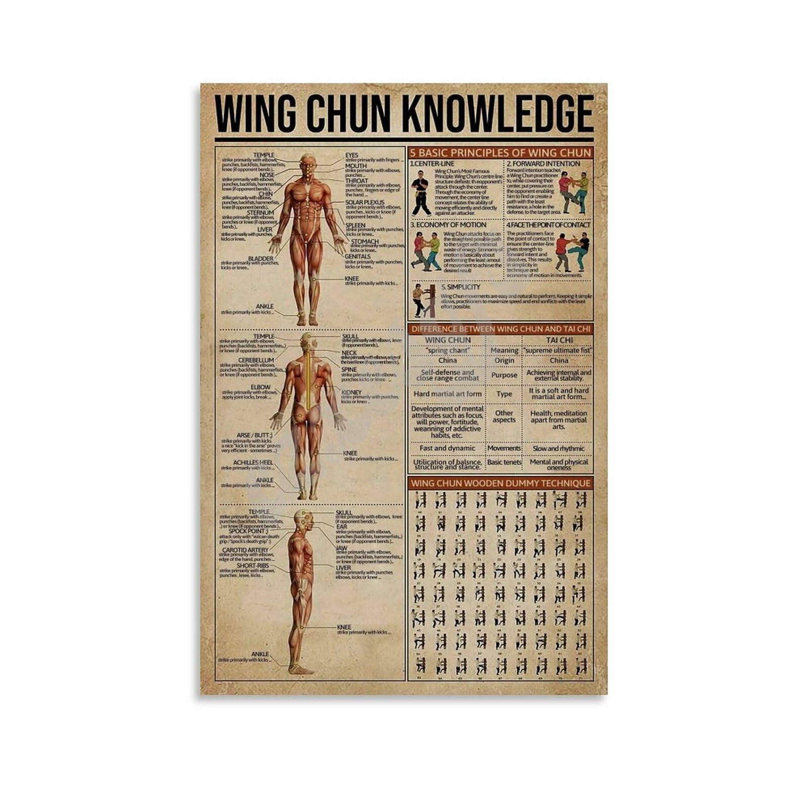 ​​Wing Chun Knowledge Vintage Posters Martial Arts Training Chart​ Wall Art Canvas Painting for Living Room Bedroom Decor 20x30inch(50x75cm) Unframe-style