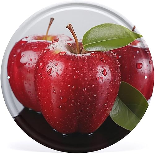 Arte circular de metal para colgar en la pared de hierro, letrero de hojalata industrial vintage con agujeros preperforados, arte de metal redondo