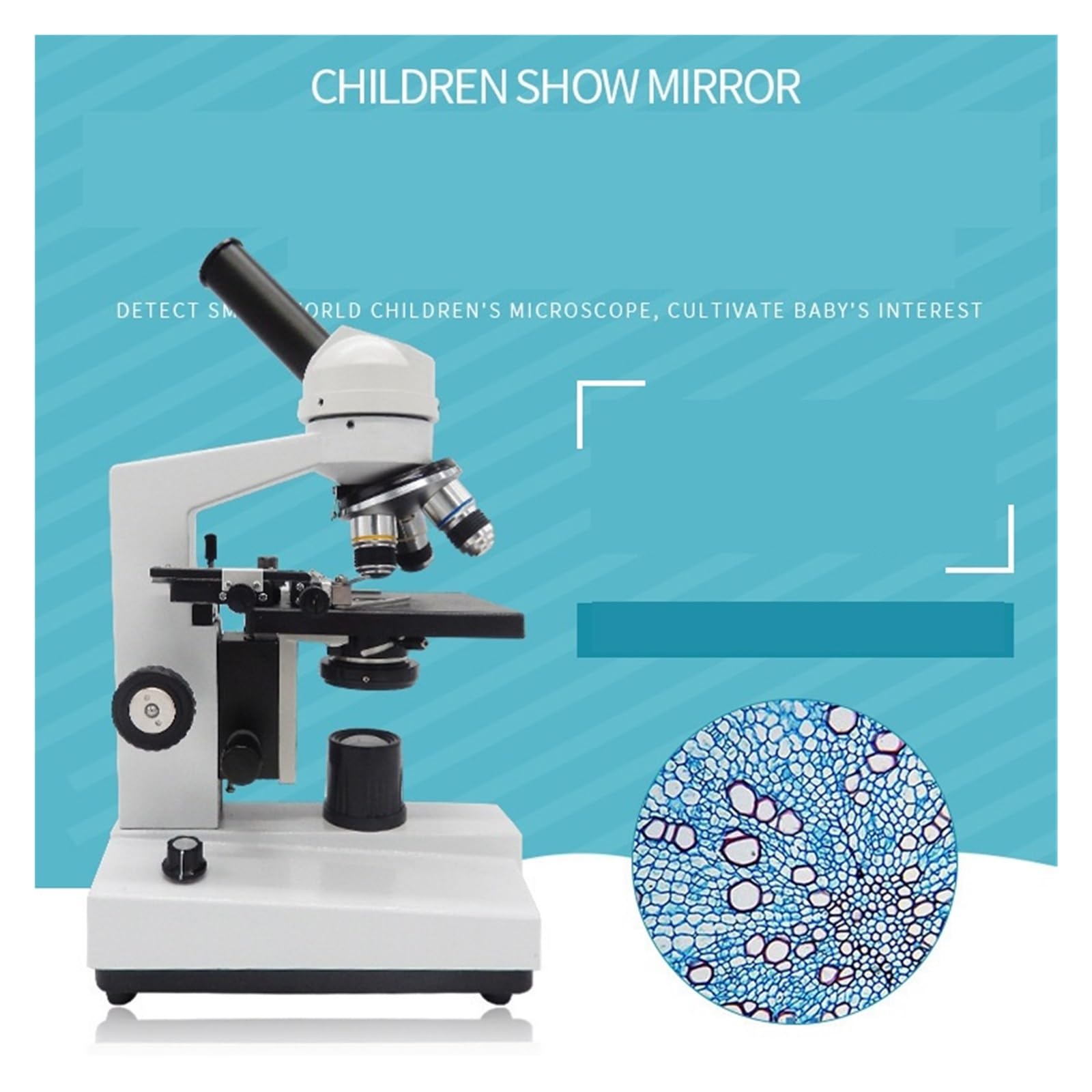 Mikroskop cyfrowy, Mikroskop XSP-35 100x-1600x Nauczanie Biologiczne | Duże Powiększenie, Praktyczne