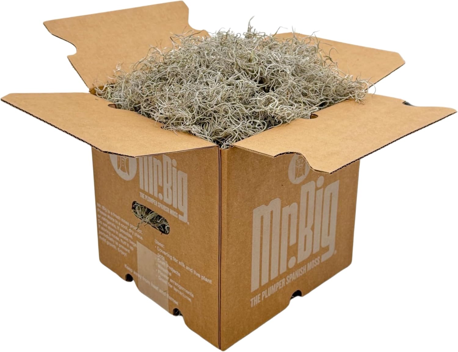 Quality Growers - Mr. Big Fresh Spanish Moss (The Plumper Spanish Moss) - Crafts, Home Decor, Art, Design & DIY Projects - Non-Toxic - Made in USA - Natural, Box