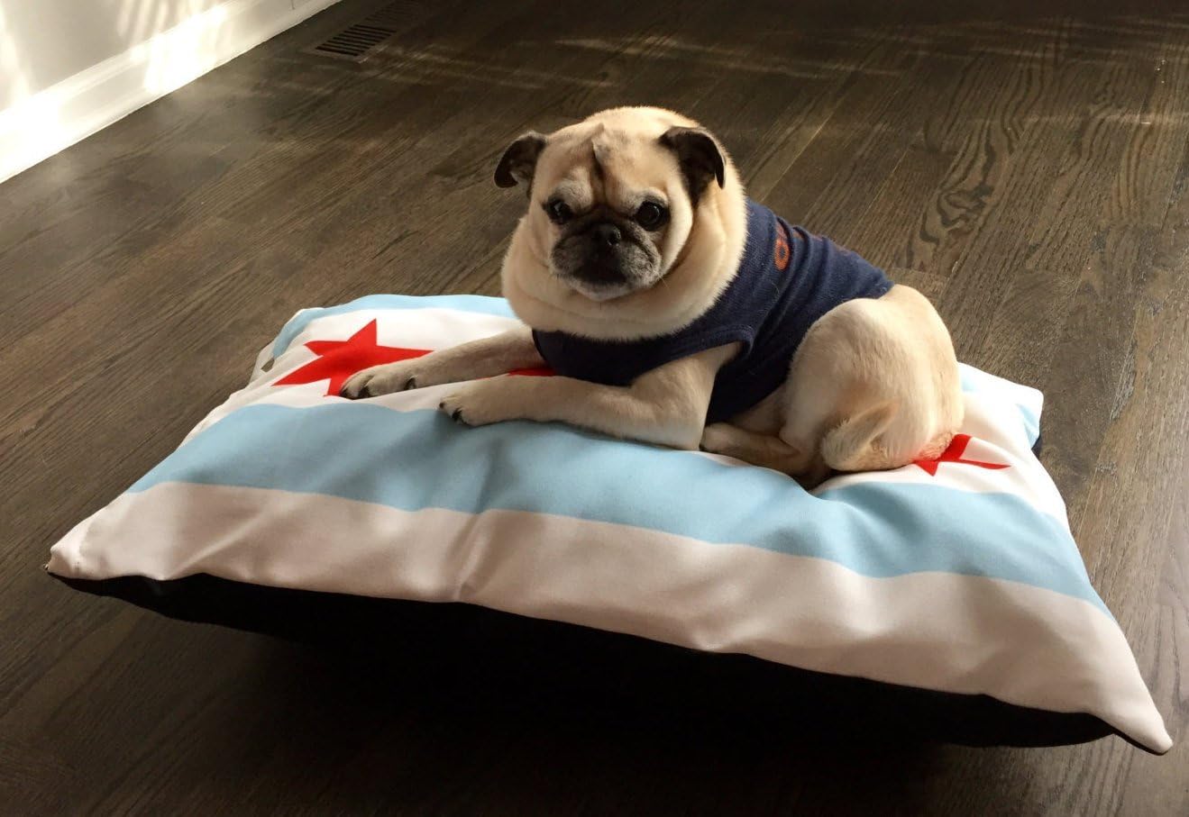 Chicago Flag Dog Bed