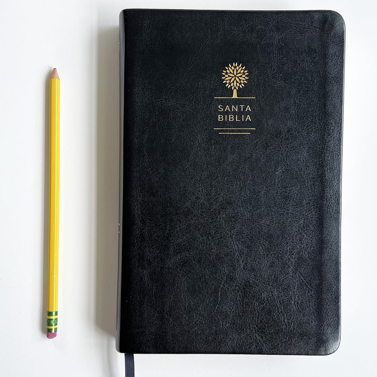 Biblia Reina Valera 1960 letra grande. Símil piel color negro, tamaño manual / Spanish Holy Bible RVR 1960. Handy Size, Large Print, Black Leathersoft