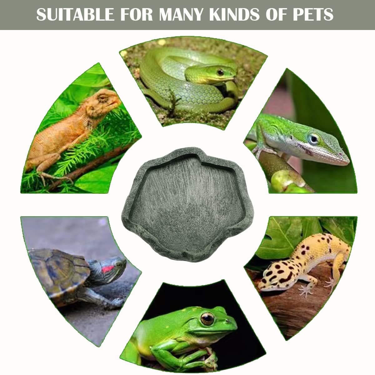 Reptile Water Dish Bowl Resin Rock Reptile Food and Water Feeder Pet Aquarium Ornament Terrarium Plate for Tortoise Lizard (Dark green Small)